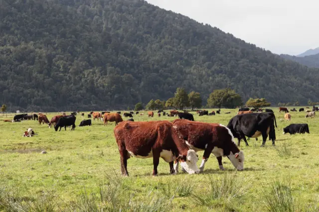 பண்ணைத் தொழிலில் இருந்து வெளியேறும் மீத்தேனை 