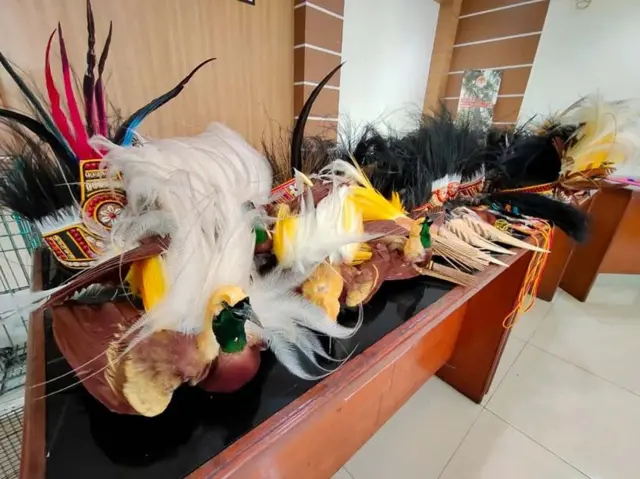 Sejumlah mahkota berhias bulu burung Cenderawasih yang disita BBKSDA Papua.