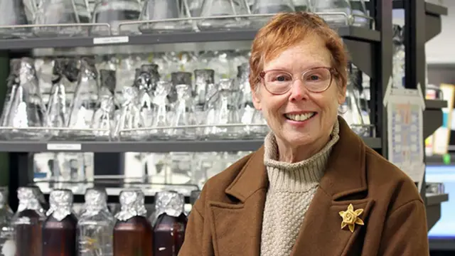 డాక్టర్ డీసిస్‌, పరిశోధన, క్యాన్సర్, రోగనిరోధక వ్యవస్థ, చికిత్స 