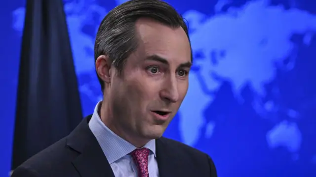 मैथ्यू मिलर