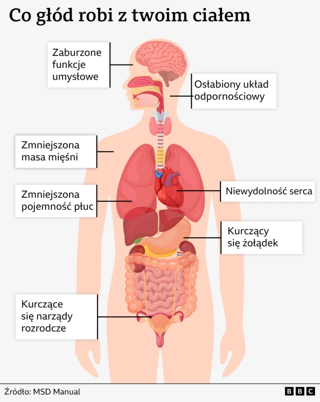 Rysunek przedstawiający wpływ głodu na ciało