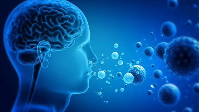 এইচএমপিভি মূলত হাঁচি ও কাশির মাধ্যমে ছড়ায়