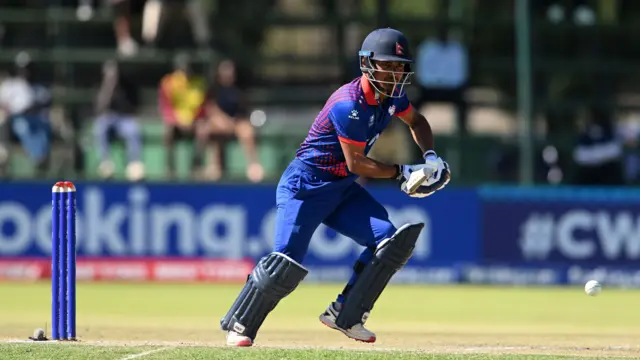 क्रिकेट 