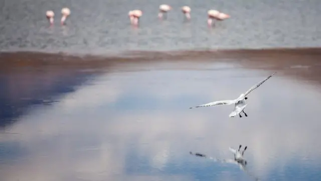 પ્રવાસન, યાત્રા, ટુરિઝમ, અજાયબી, બીબીસી ગુજરાતી