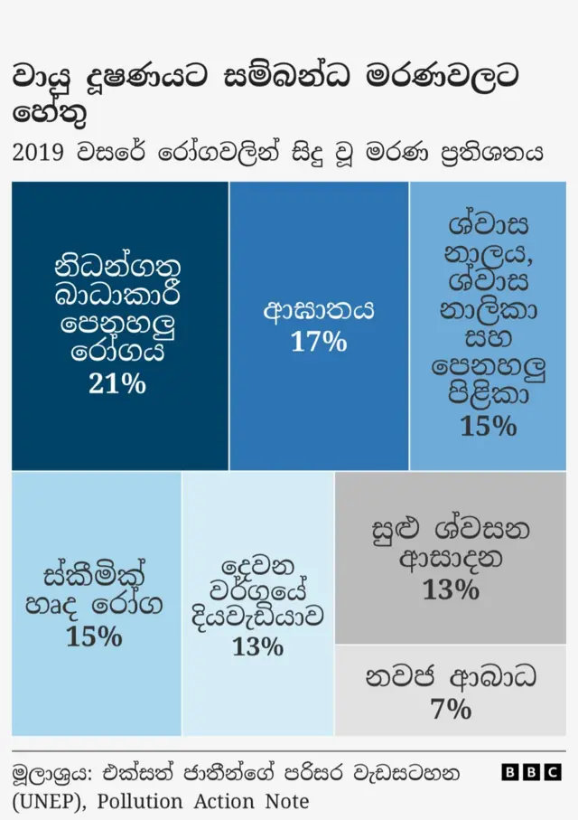 Reasons for the deaths connected to air pollution.
