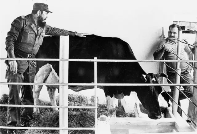 Fidel y Ubre Blanca