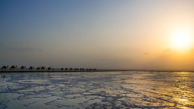 భూమి, ఆకాశం, హొరైజన్