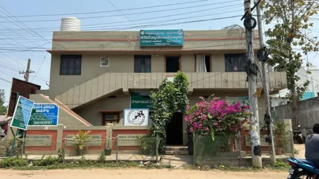 બીબીસી ગુજરાતી આંધ્ર પ્રદેશ તેલુગુ ઝાડ આદિવાસી રાક્ષસ વાઘ દીપડો