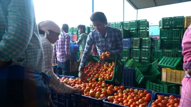 ట్రాన్స్‌జెండర్