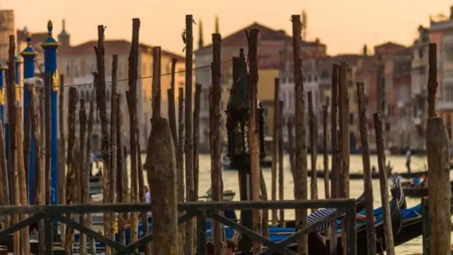गोंडोला (नौका) नांगरण्यासाठीची जेट्टी असो वा इमारतींचा पाया. व्हेनिसमध्ये असे लाकडी खांब सगळीकडे दिसतात.