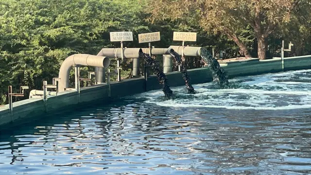 જેતપુર સાડી ઉદ્યોગ, પોરબંદરની ખાડીમાં પાણી પ્રદૂષણ, જળપ્રદૂષણ, ભાદરમાં પાણી પ્રદૂષણ, લોકોને ચામડીના રોગો, જેતપુર સાડી ઉદ્યોગ ખેતીને અસર, બીબીસી ગુજરાતી ગ્રાઉન્ડ રિપોર્ટ