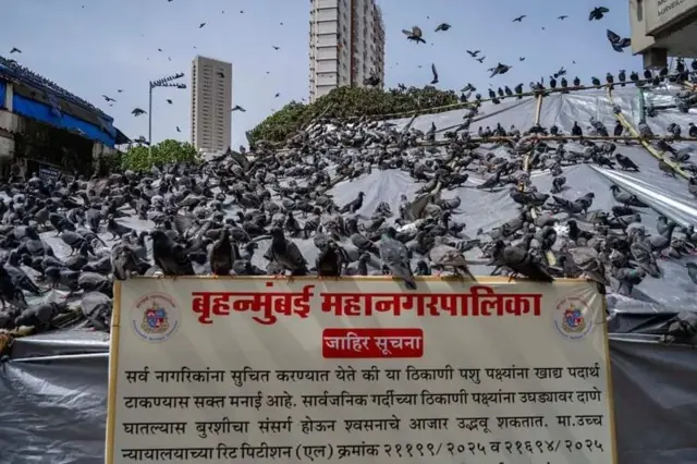 मध्य मुंबईतील दादर रेल्वे स्थानकाजवळील प्रसिद्ध कबुतरखान्यावर 2 ऑगस्टला रात्री उशिरा मुंबई महानगरपालिकेकडून कारवाई करण्यात आली