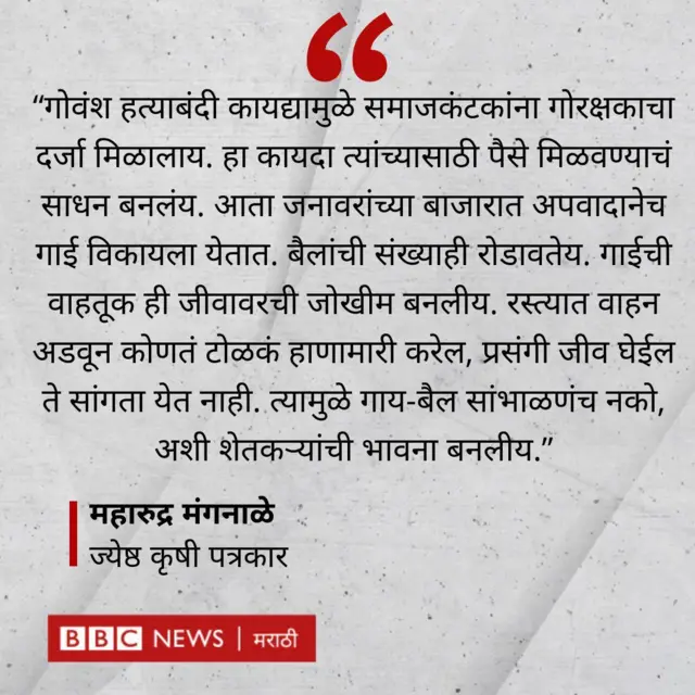 महारुद्र मंगनाळे प्रतिक्रिया