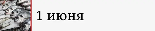 графика