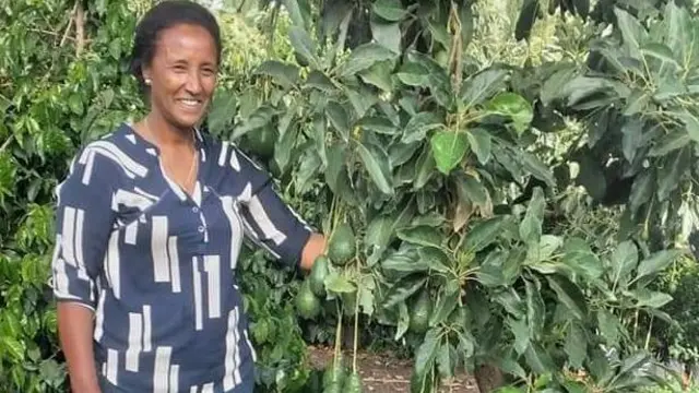 ሰናይት መናፈሻዋ ውስጥ 