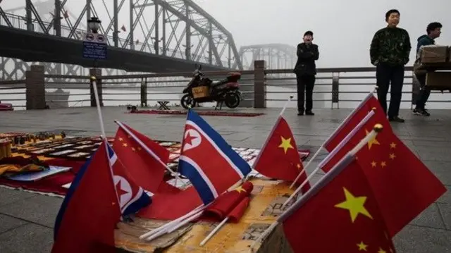 North Korea flags