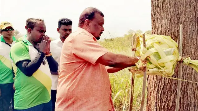 අනුරාධපුර දිස්ත්‍රික්කයේ අක්කර ලක්ෂයකට වැඩි භූමි ප්‍රමාණයක කෝමාරිකා වගා කිරීම සඳහා කැබිනට් අනුමැතිය ලබාදීමට හිටපු මුදල් අමාත්‍ය බැසිල් රාජපක්ෂ හා හිටපු ඉඩම් අමාත්‍ය එස්. එම්. චන්ද්‍රසේන අමාත්‍ය මණ්ඩලයට දැඩි බලපෑමක් සිදුකර ඇතැ යි, ව්‍යාපෘතිය සඳහා අනුමැතිය ලබාදීමට භාවිතා කළ ලේඛන අධ්‍යයනයෙන් පෙනීයන බව පරිසරවේදීහු පවසති. තාඹුගල (දොහොත් නගා සිටියි) හා හිටපු ඉඩම් අමාත්‍ය එස්. එම්. චන්ද්‍රසේන අදාළ ව්‍යාපෘති අවස්ථාවක් සඳහා සම්බන්ධවී සිටින අයුරු මේ ඡායාරූපයෙන් දැක්වෙයි 