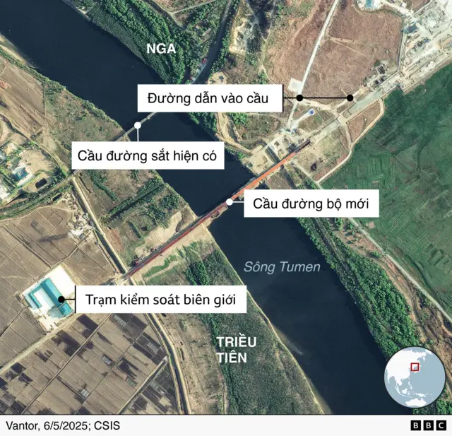 Cây cầuB