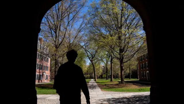 ਸੰਕੇਤਕ ਤਸਵੀਰ