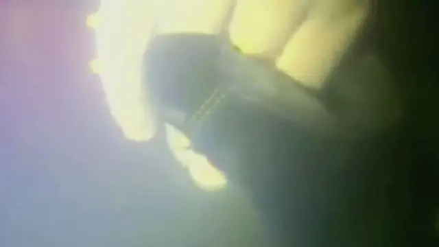 Une caméra sous-marine a capturé le moment où le plongeur Nicolaas van Heerden a pris la main d'Harrison, après une première frayeur.