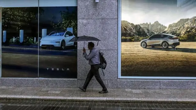 இந்தியா, டெஸ்லா, மாடல் ஒய் கார்