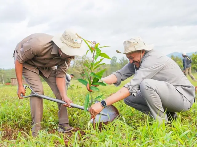 ጠቅላይ ሚኒስትሩ እና ምክትላቸው ችግኝ ሲተክሉ