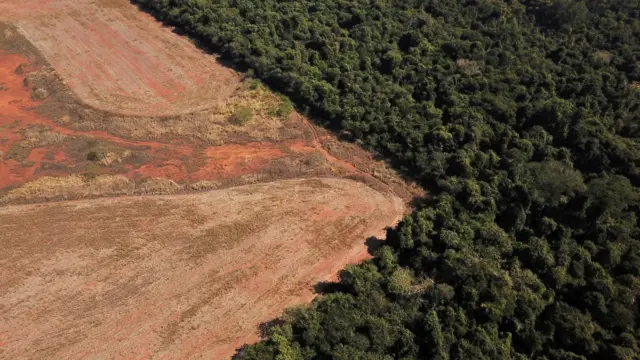 Vista aérea mostra desmatamento em área florestal perto da fronteira entre a Amazônia e o Cerrado, em Nova Xavantina, no Mato Grosso 