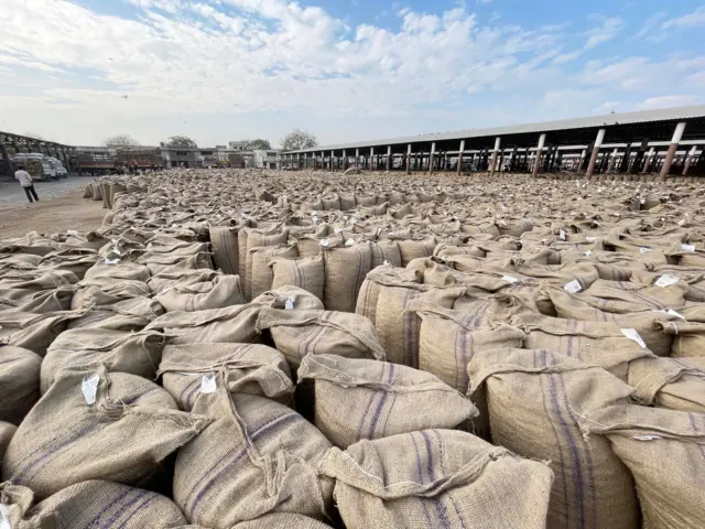 બીબીસી ગુજરાતી, ગુજરાત, ખેતી, મગફળીના ખેડૂતો, રાજકોટ માર્કેટિંગ યાર્ડ