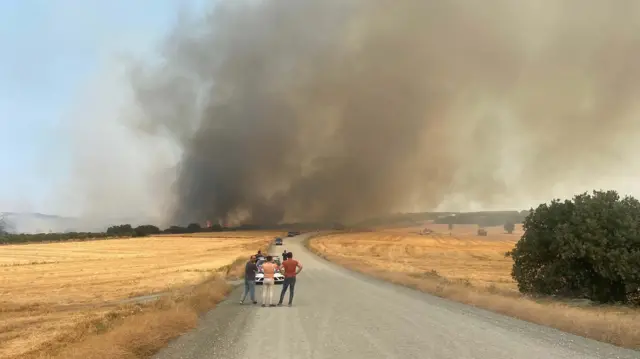 Çanakkale'deki yangın