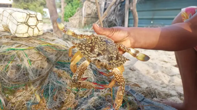 මාළු ඇල්ලීම මේ දුපතේ ජනතාවගේ ප්රධාන ජීවනෝපාය වුවත් දැන් දැන් මෙහි වෙසෙන ජනතාවගෙන් සුළු පිරිසක් සංචාරක කර්මාන්තයට ද නැඹුරුවක් පෙන්නුම් කරයි.