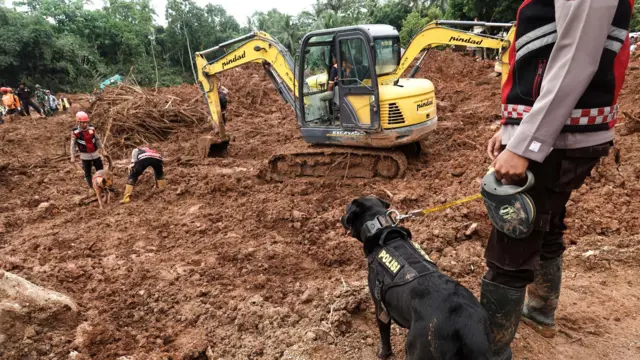 Unit anjing pelacak (k-9) diterjunkan membantu proses pencarian korban longsor di Desa Cibeunying, Majenang, Cilacap, Jawa Tengah, Minggu (16/11/2025). 