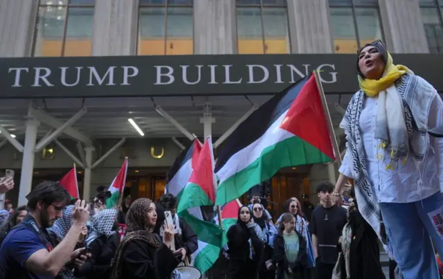 نیردین کسوانی نیو یارک شہر میں قائم فلسطینی حامی تنظیم ودِن آور لائف ٹائم کے شریک بانی ہیں۔