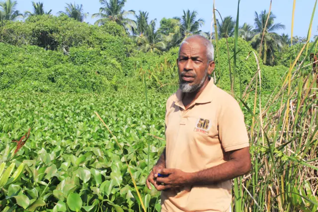 இலங்கையில் வாழ்விடம் அற்றுப்போன தொங்குமான்