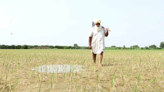 ਕਿਸਾਨ ਗੁਰਭੇਜ ਸਿੰਘ 