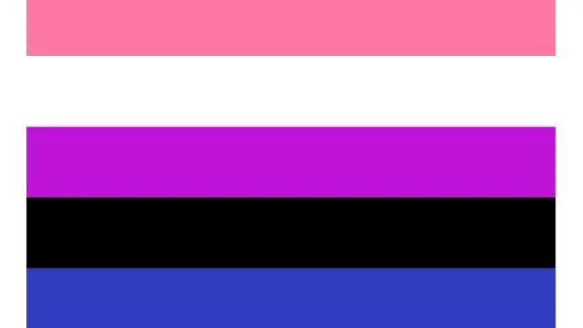 genderfluid bayrak