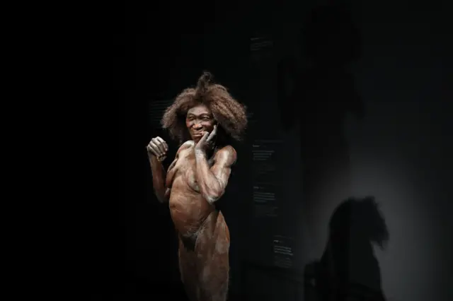 Replika Homo erectus di Naturalis Biodiversity Center, Leiden, Belanda.