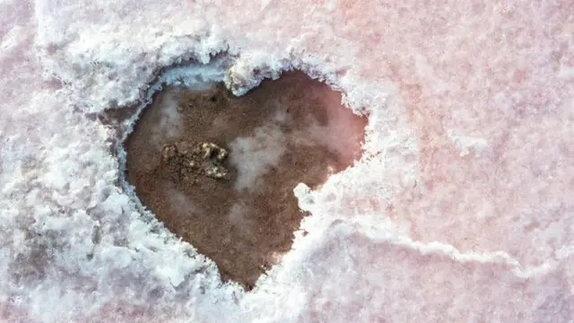 ਸੇਂਧਾ ਲੂਣ 