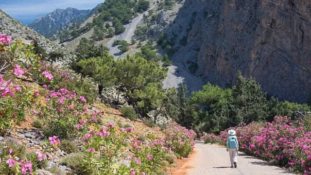 Mulher caminhando por trilha cercada por flores nas montanhas da Grécia