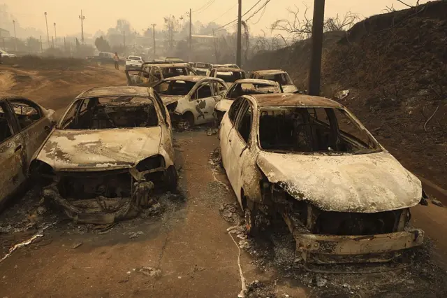 Vista de varios autos calcinados tras un incendio forestal en el municipio de Penco, Chile, el 18 de enero de 2026.