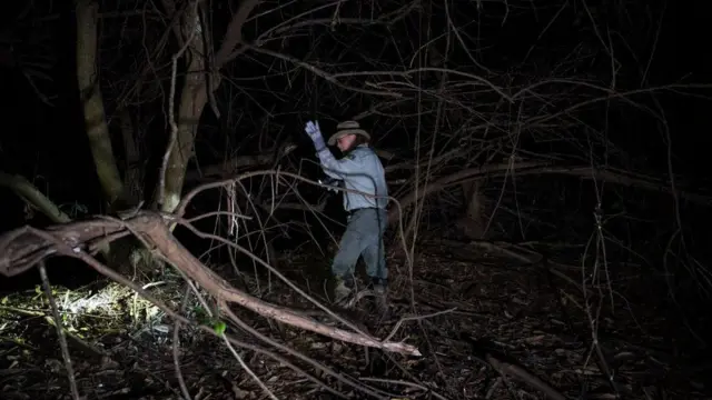 Pemburu ular piton Florida