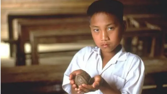 బాంబులు