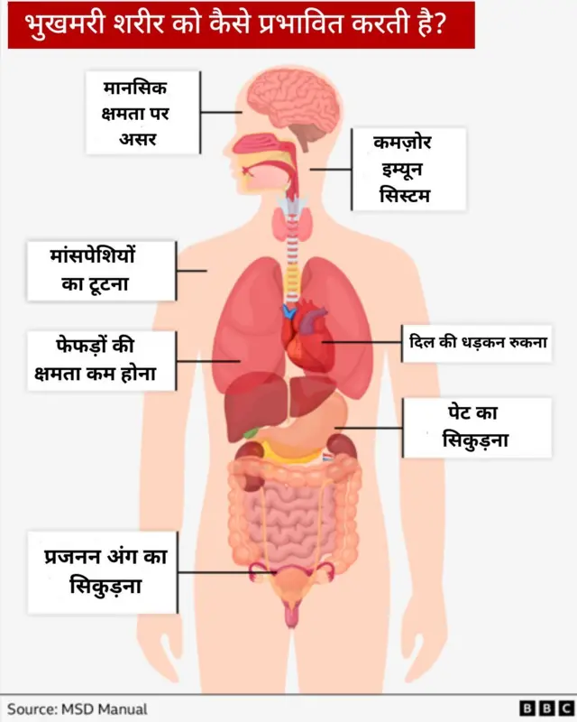 लंबे समय तक भूखे रहने के असर