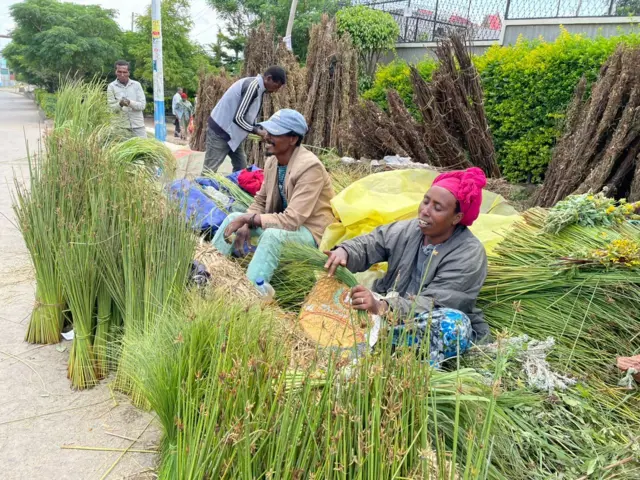 Dubartii hidhaa caffee qabattee jirtu