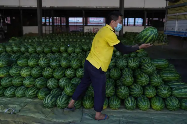 ဖရဲသီးများခင်းကျင်းထားပုံ