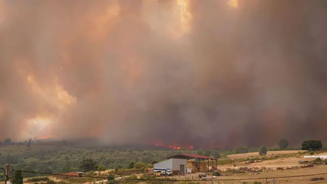 Лесной пожар в Испании недалеко от Лосасио, к северу от Саморы, 12 августа