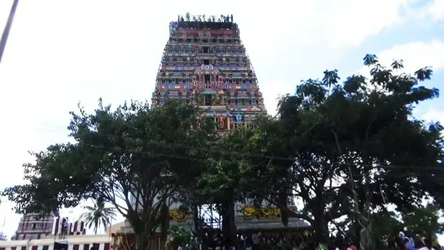 உணவில் பாம்பு, கிருஷ்ணகிரி செய்திகள், ஒசூர் செய்திகள், பாம்பு