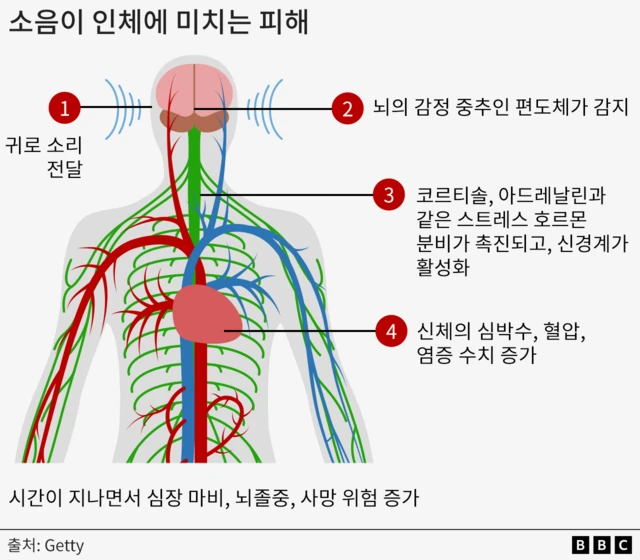 소음이 어떻게 인체에 해를 끼치는지 보여주는 그래픽