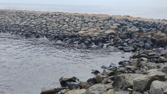 எண்ணூர் கொசஸ்தலை ஆற்றில் கலந்த எண்ணெய்