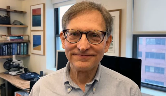 ፕ/ር ኢን ሊፕኪን