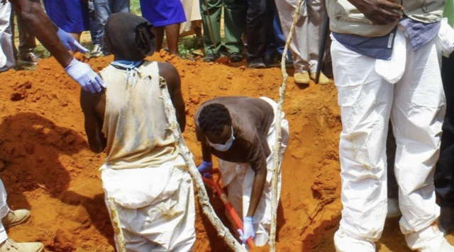 Des équipes ont découvert des tombes dans la forêt.